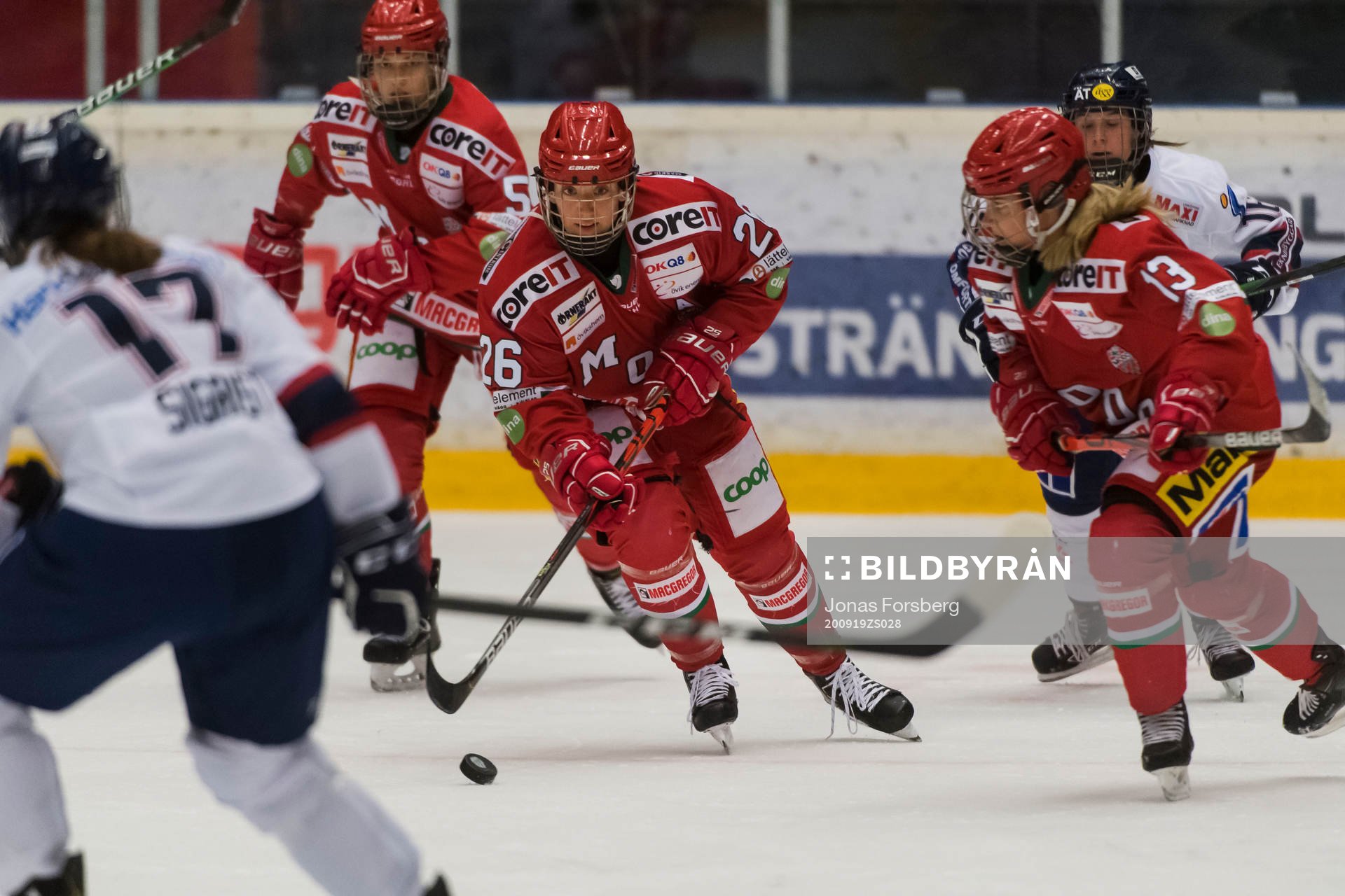 Modos Marion Allemoz