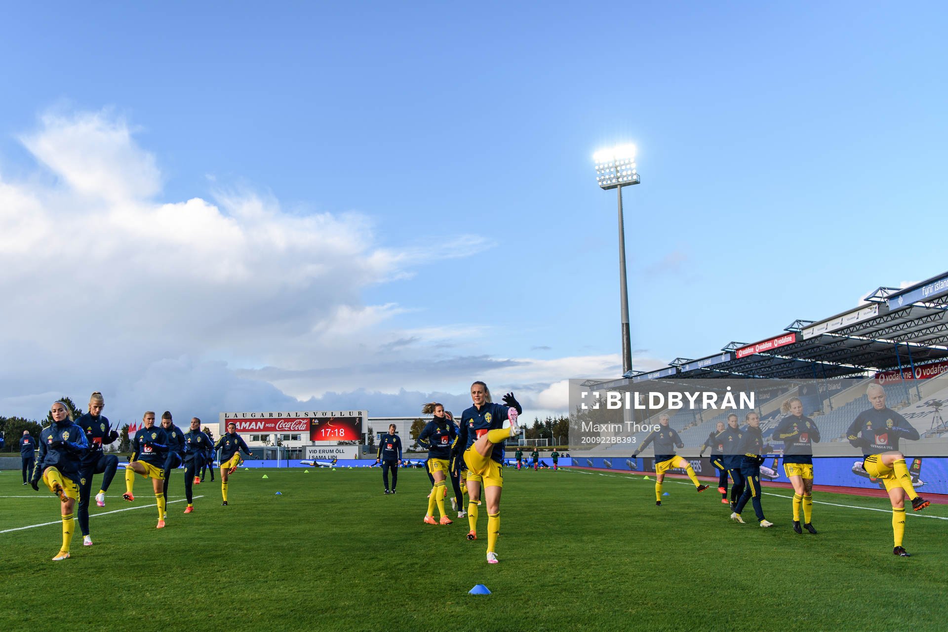 Players of Sweden