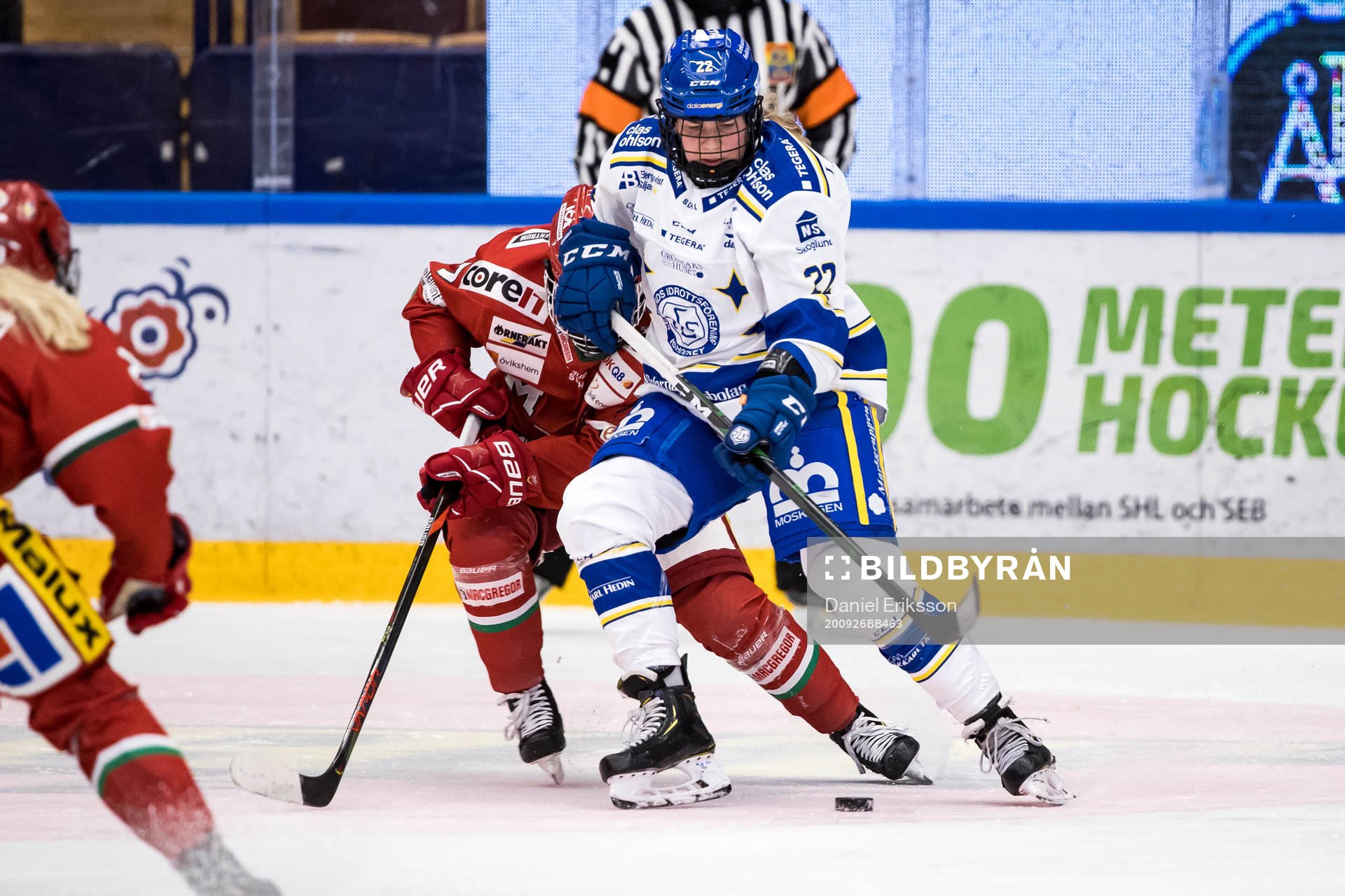 Leksands Dominique Rüegg