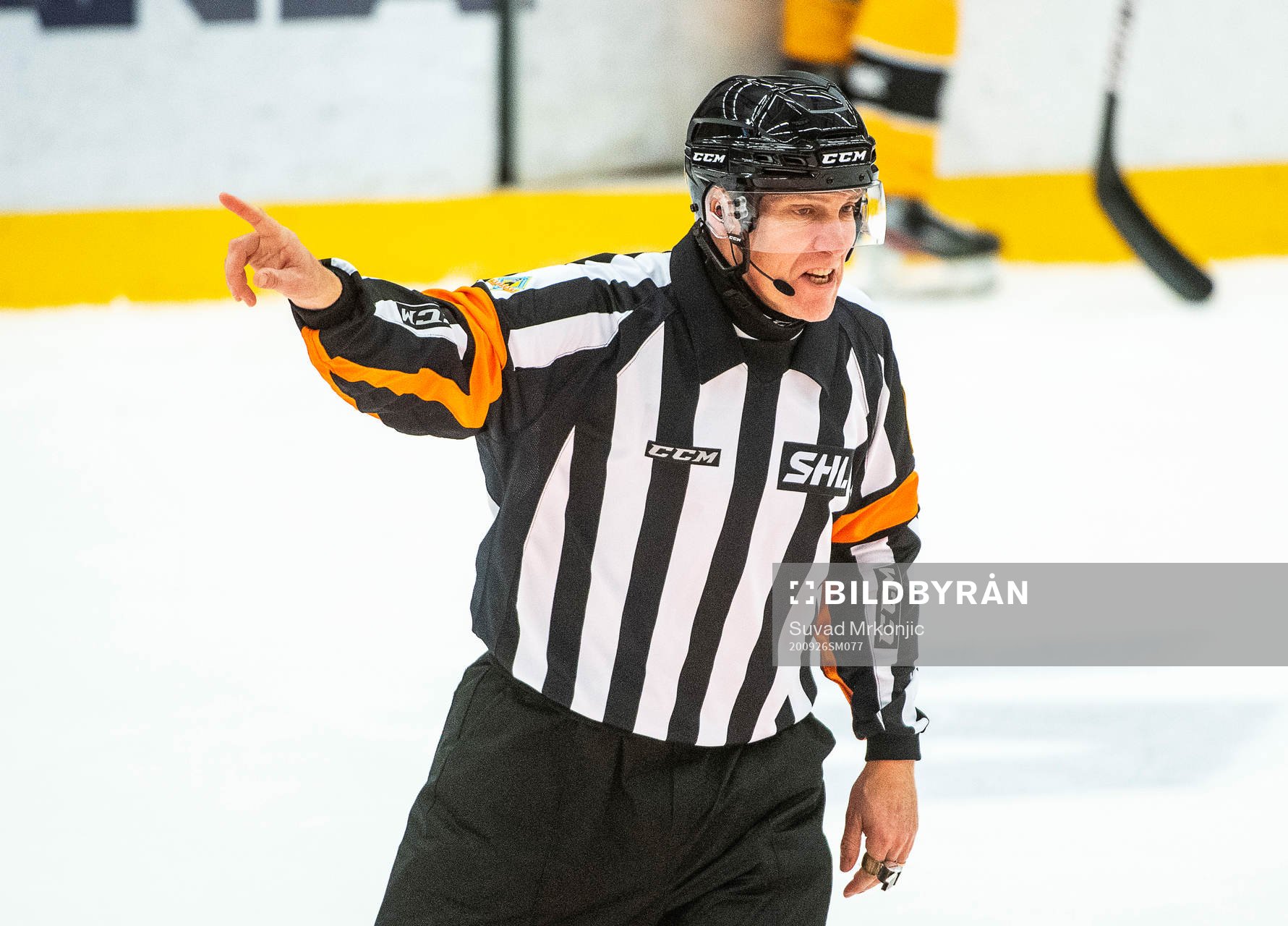 Domare Morgan Johansson