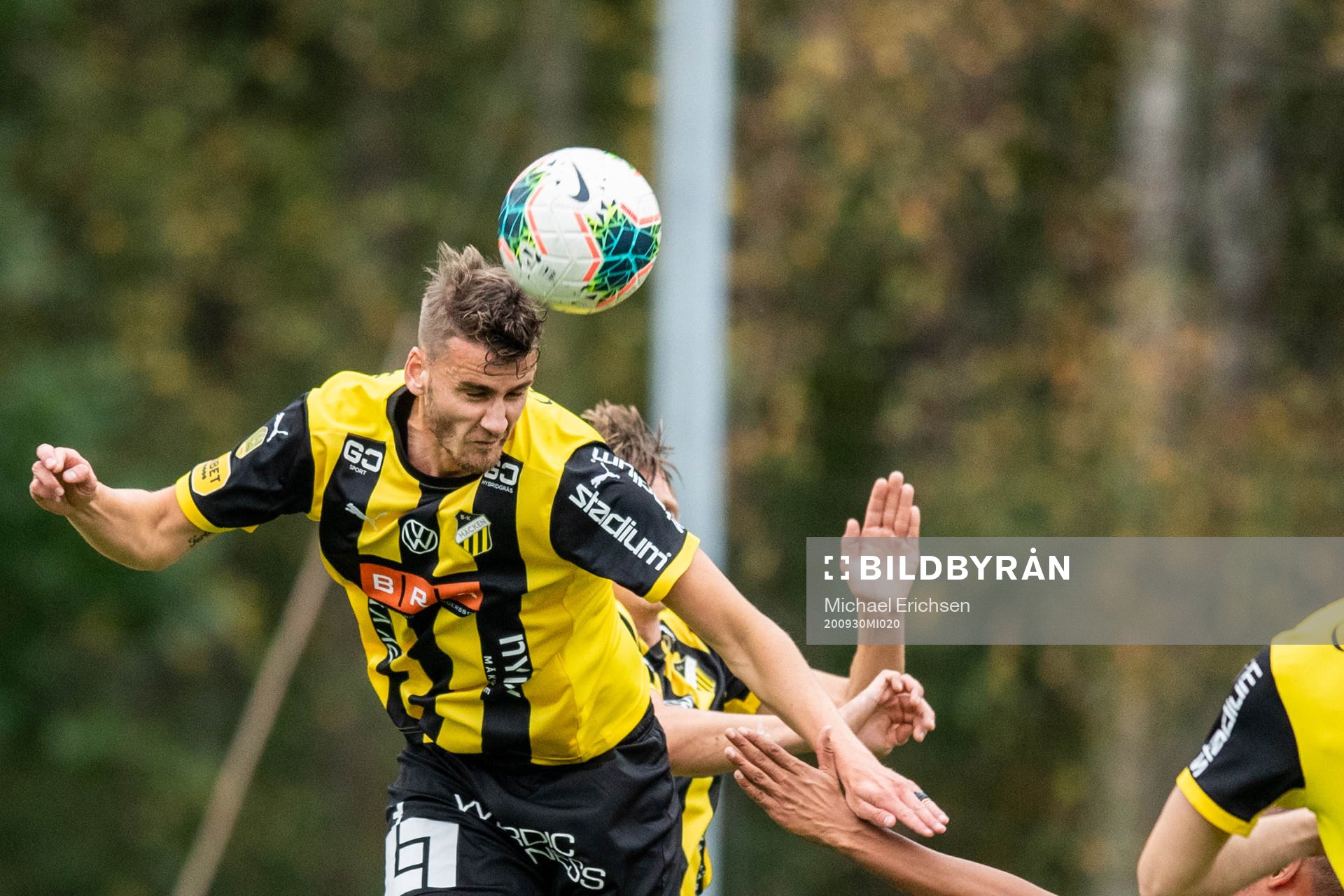 Häckens Johan Hammar