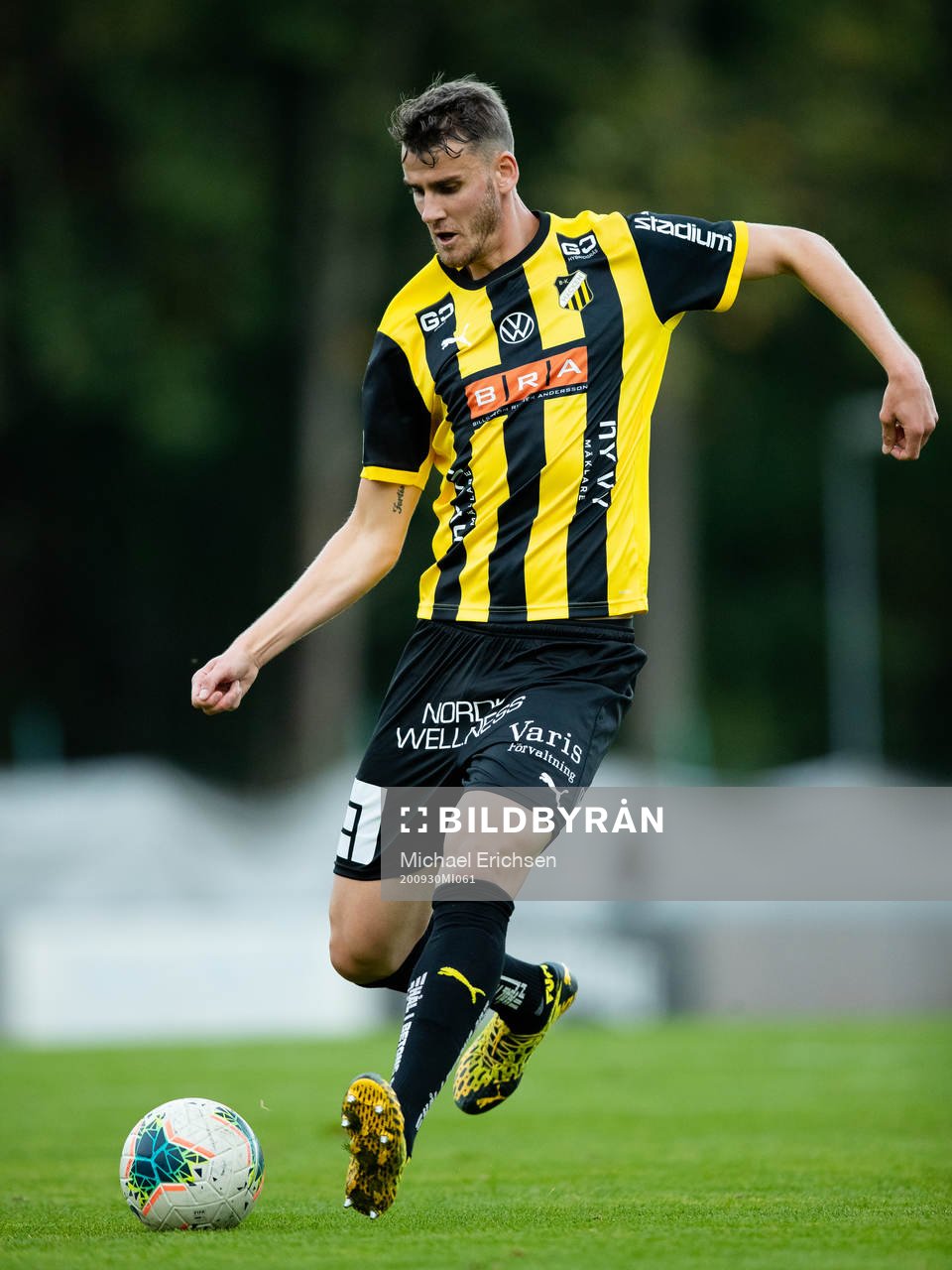 Häckens Johan Hammar