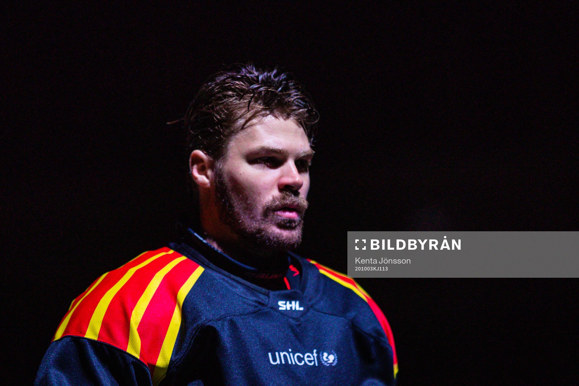Brynäs Emil Molin