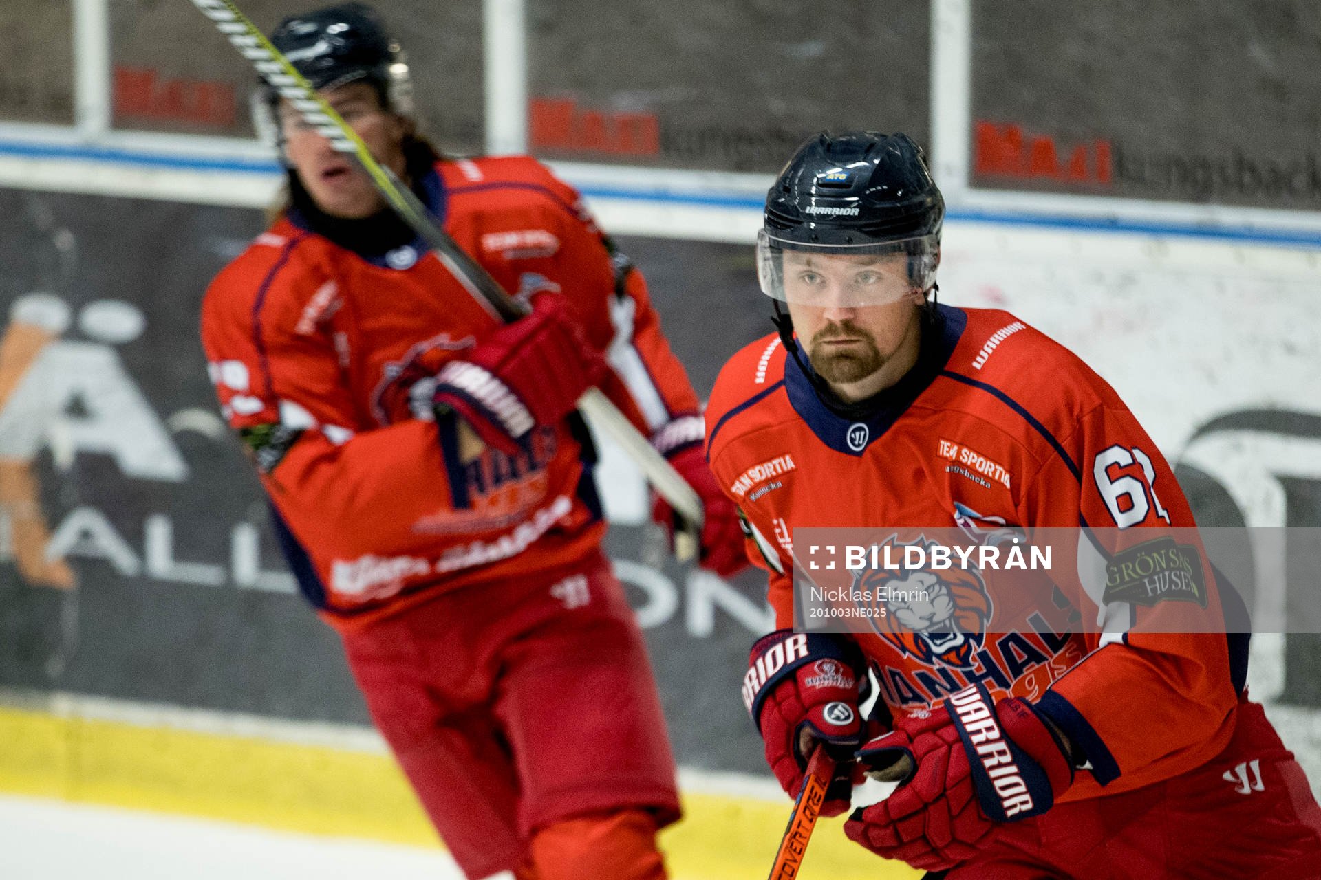Hanhals Mattias Elfström