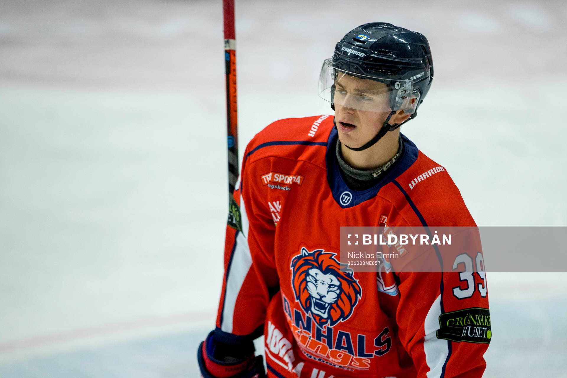 Hanhals Alexander Stensson