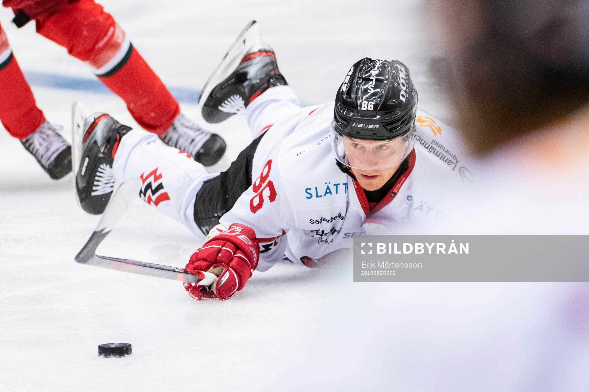 Vita Hästens David Åslin