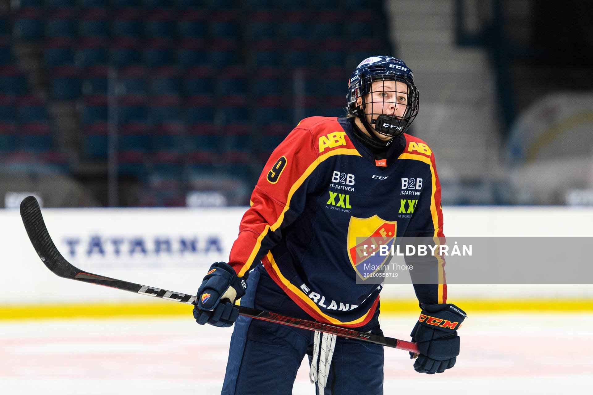 Djurgårdens Abby Cook