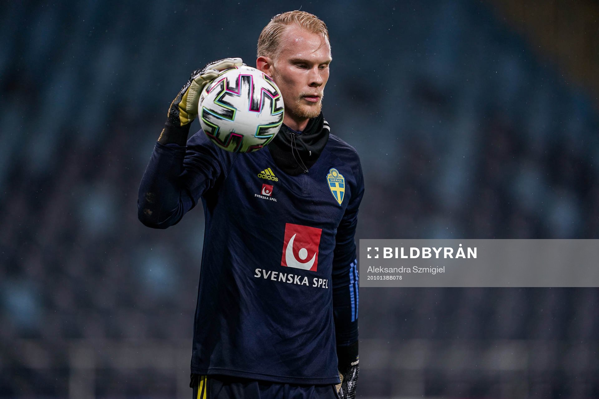 Goalkeeper Pontus Dahlberg of Sweden