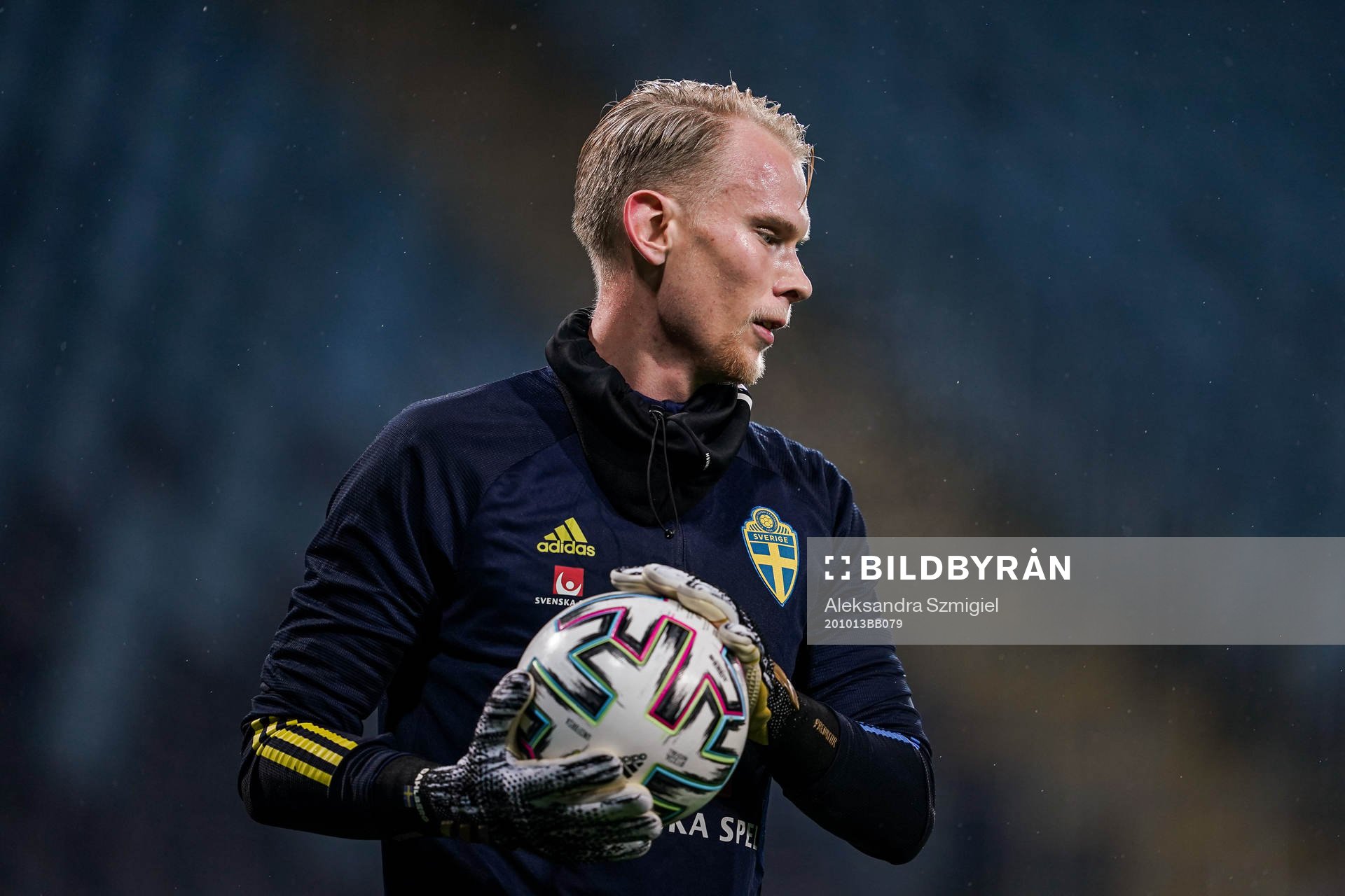 Goalkeeper Pontus Dahlberg of Sweden