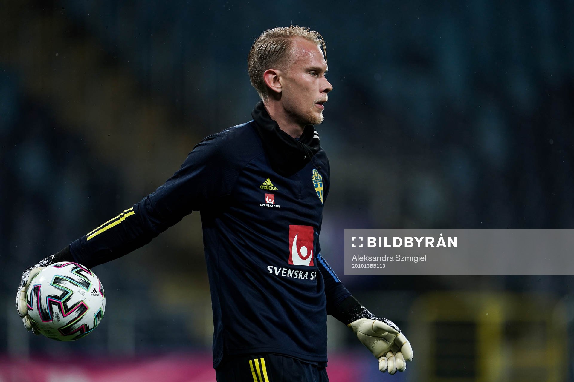 Goalkeeper Pontus Dahlberg  of Sweden