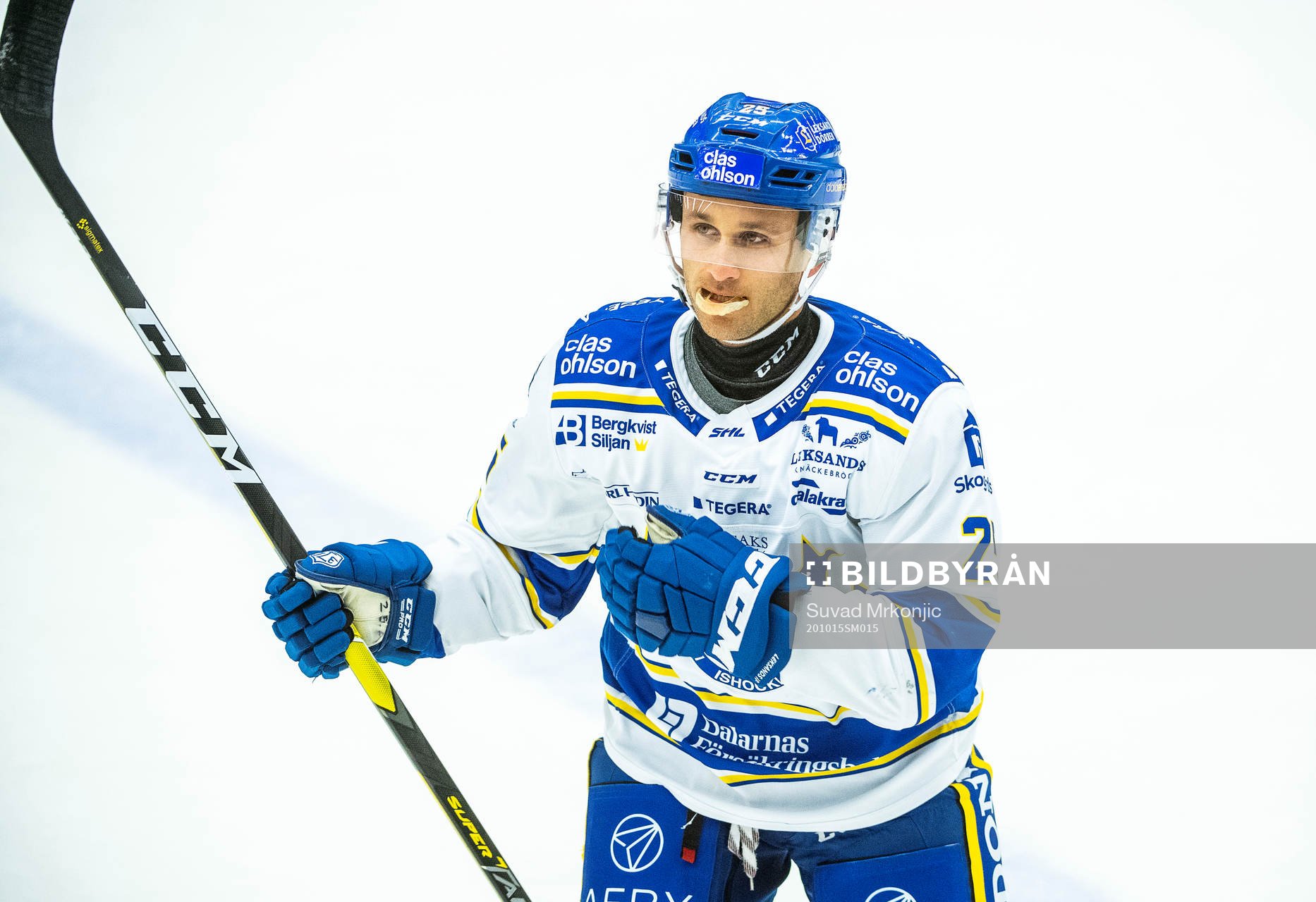 Leksands Carter Camper jublar