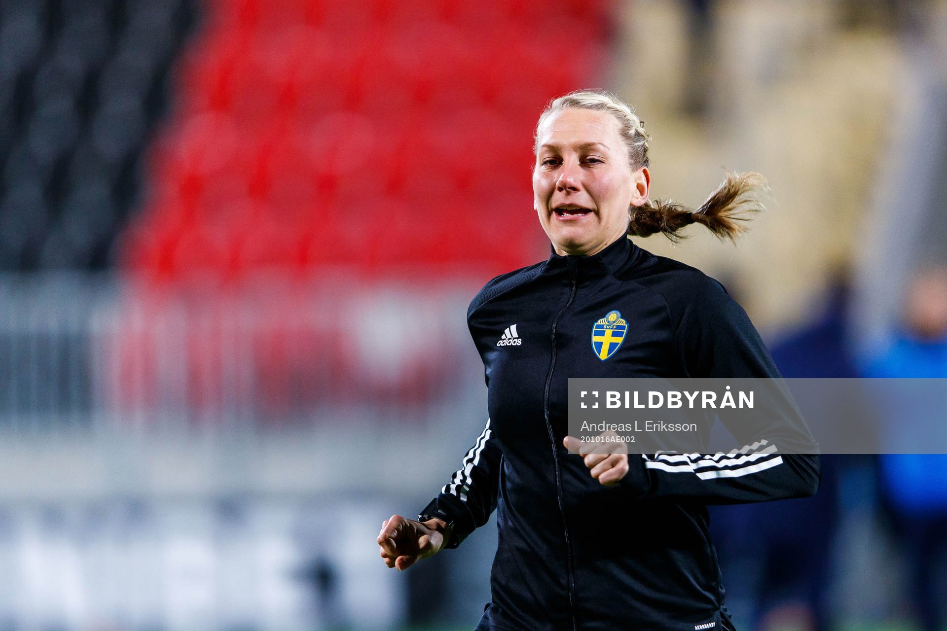 Domare Tess Olofsson