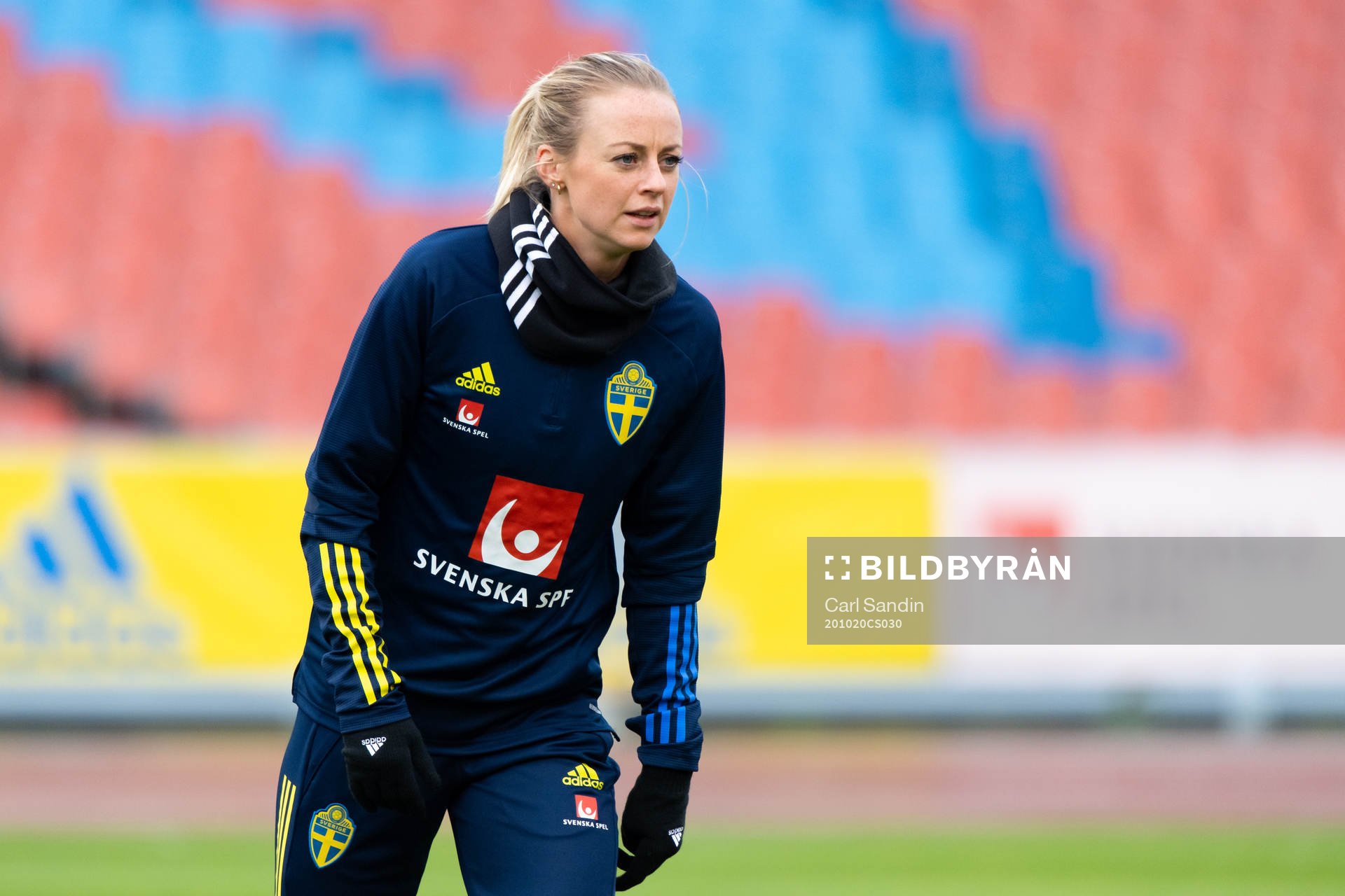 Amanda Ilestedt