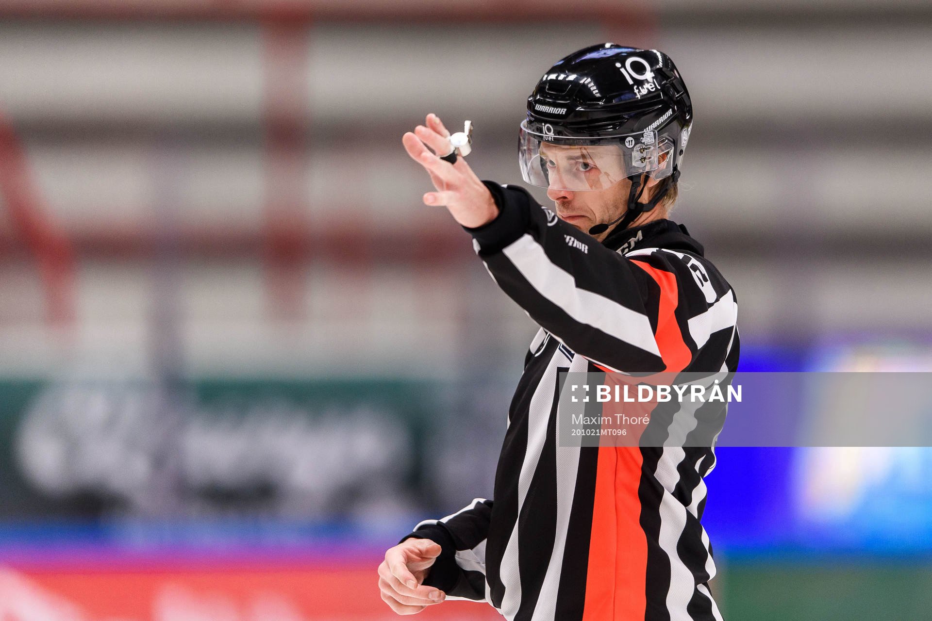 Domare Mikael Andersson