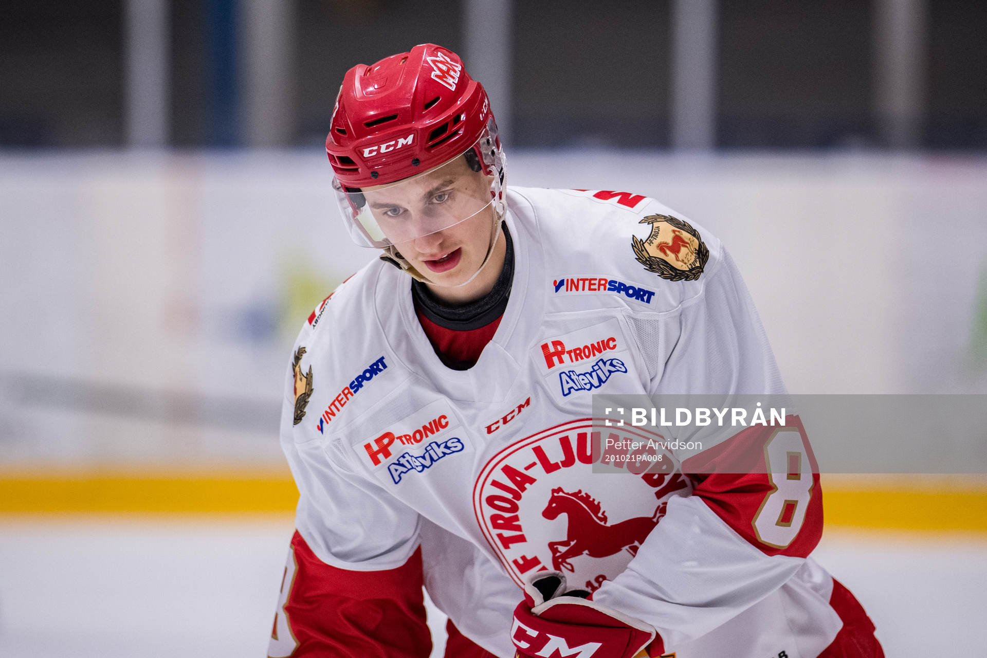 Trojas Emil Ekholm