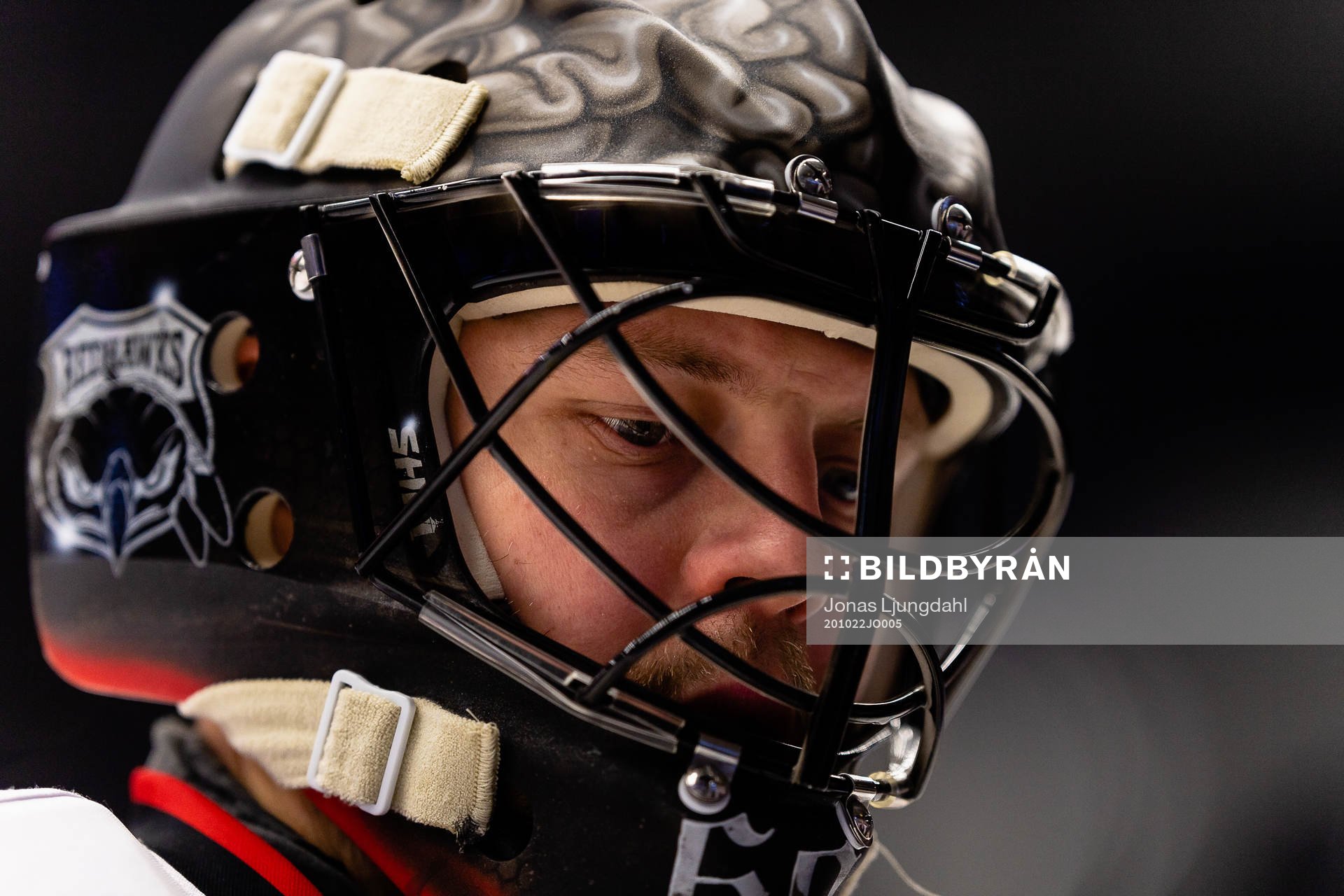 Malmö Redhawks målvakt Oscar Alsenfelt