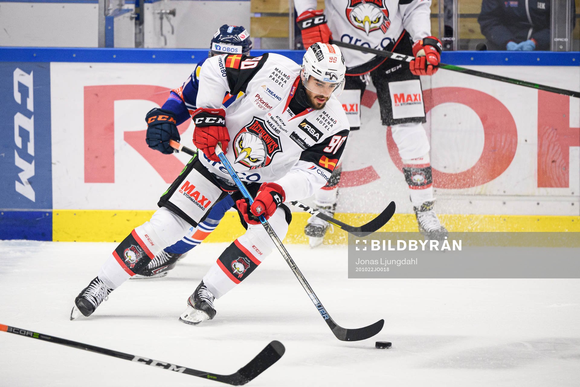 Malmö Redhawks Joe Veleno
