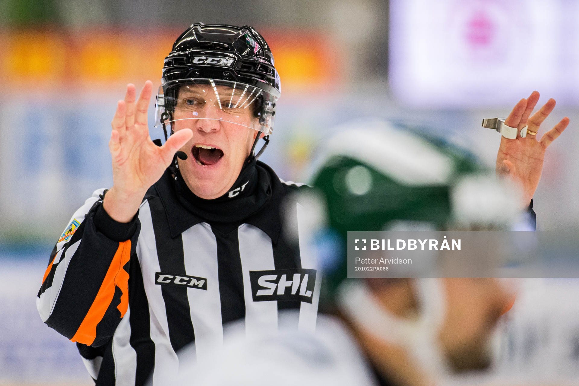 Domare Morgan Johansson