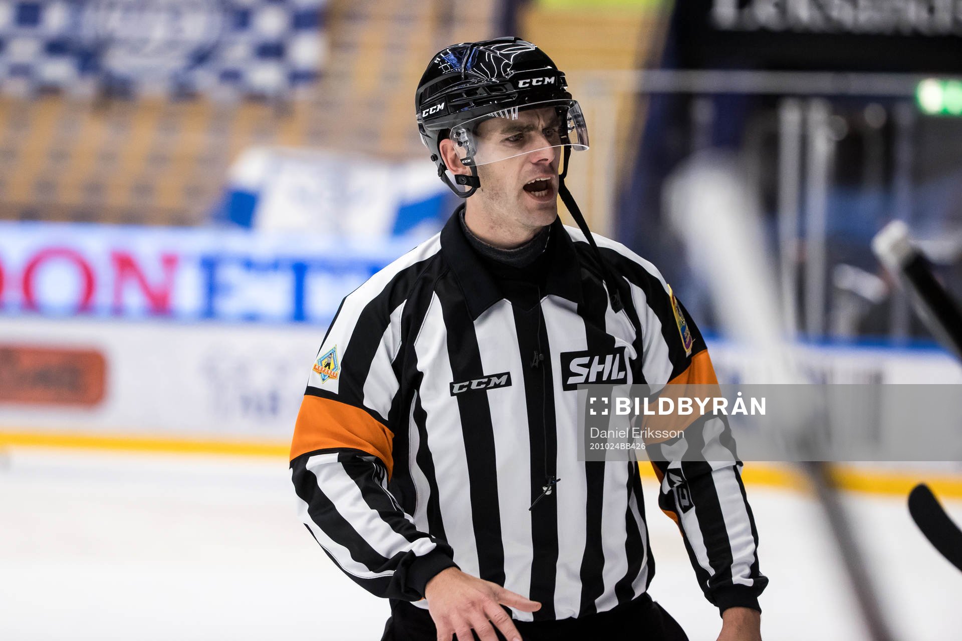 Domare Richard Magnusson