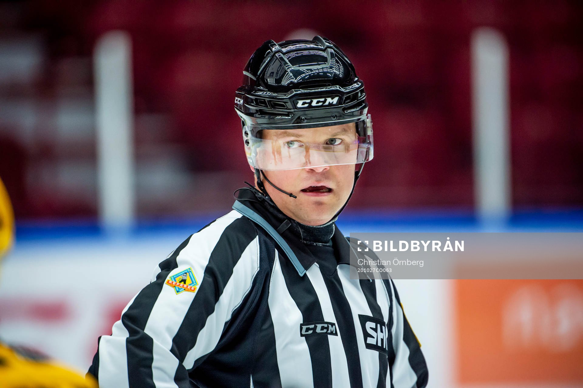 Linjedomaren Ludvig Lundgren