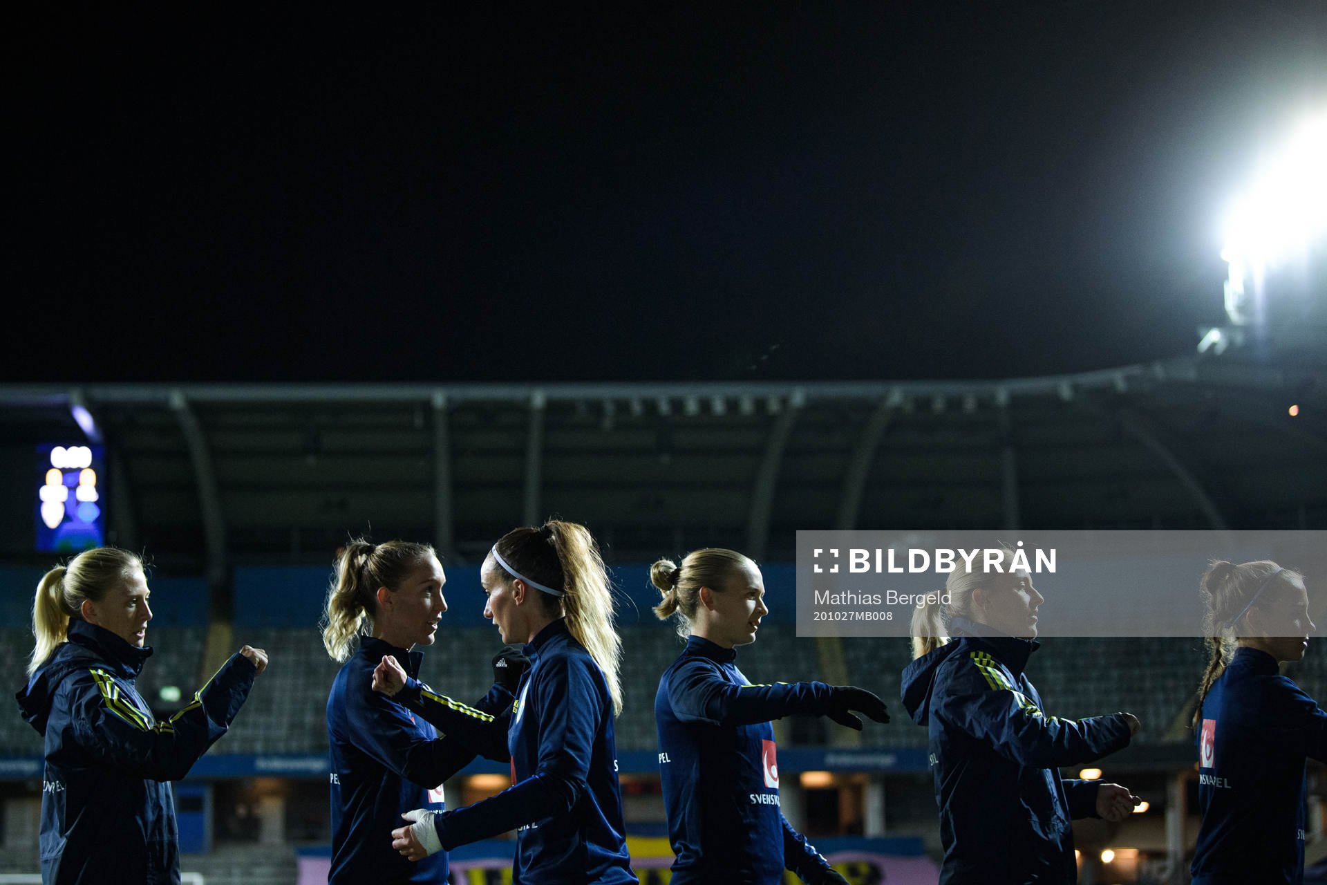 Players of Sweden