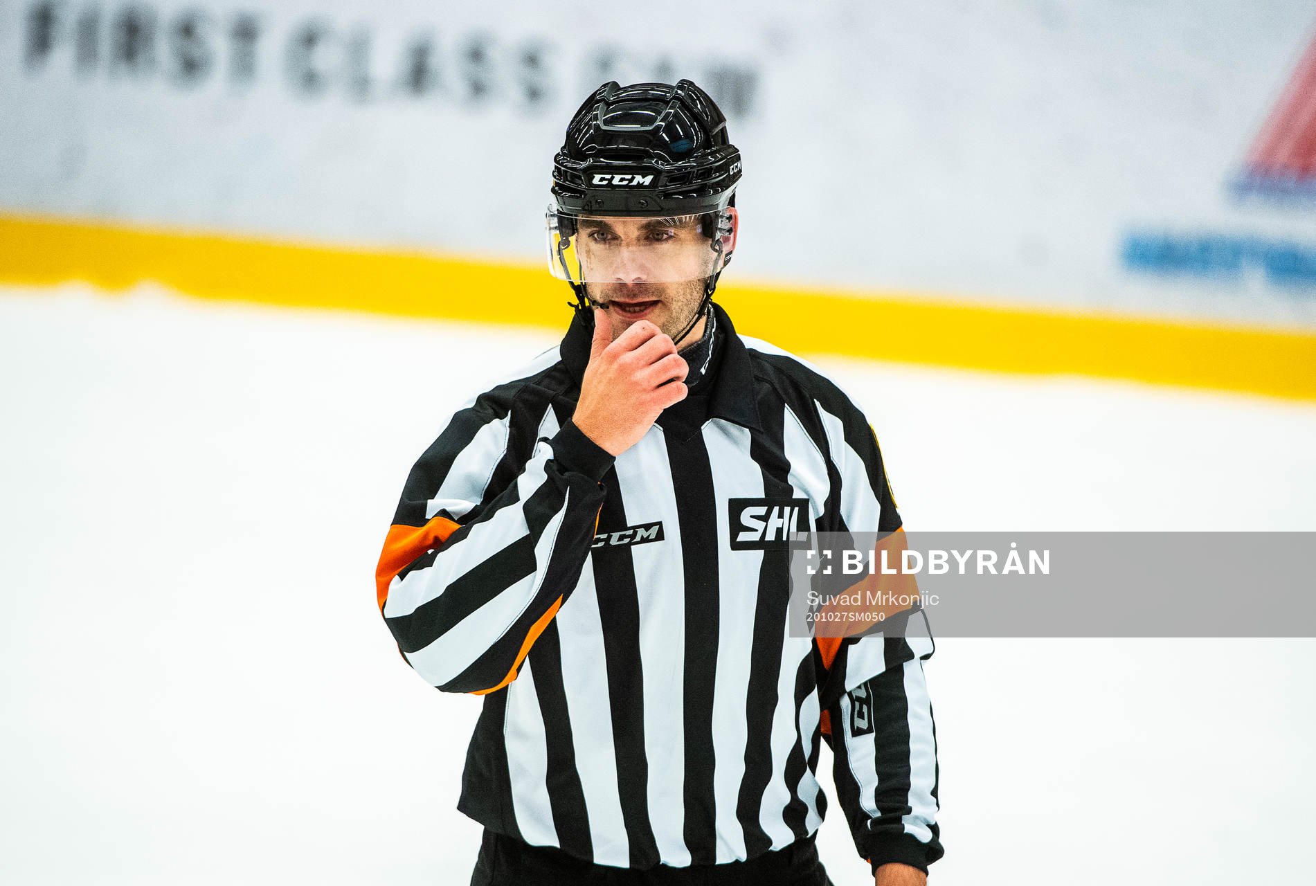 Domare Richard Magnusson
