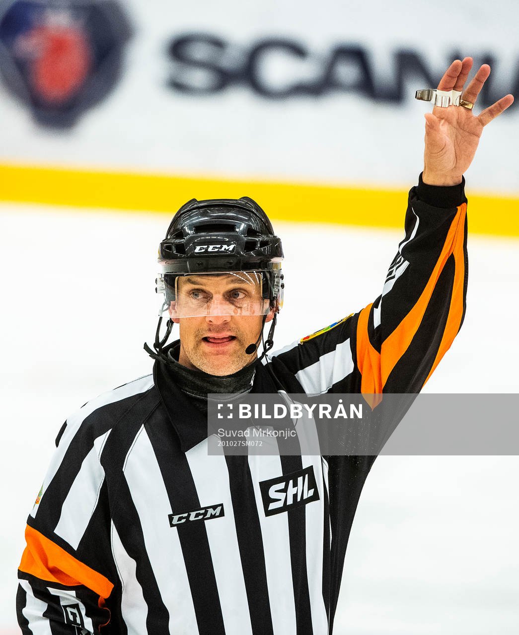 Domare Mikael Nord