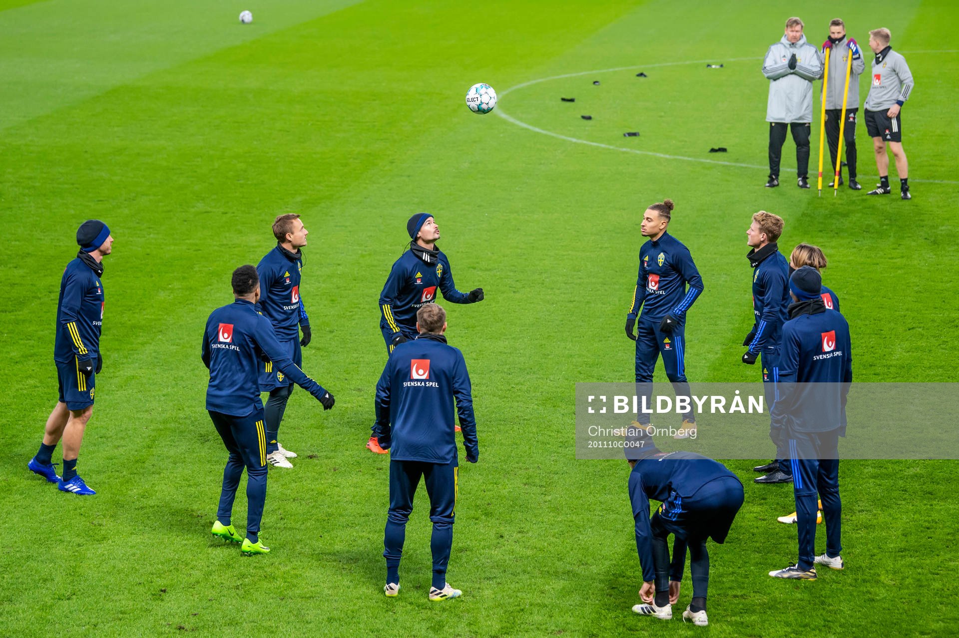The players of the Swedish national football team
