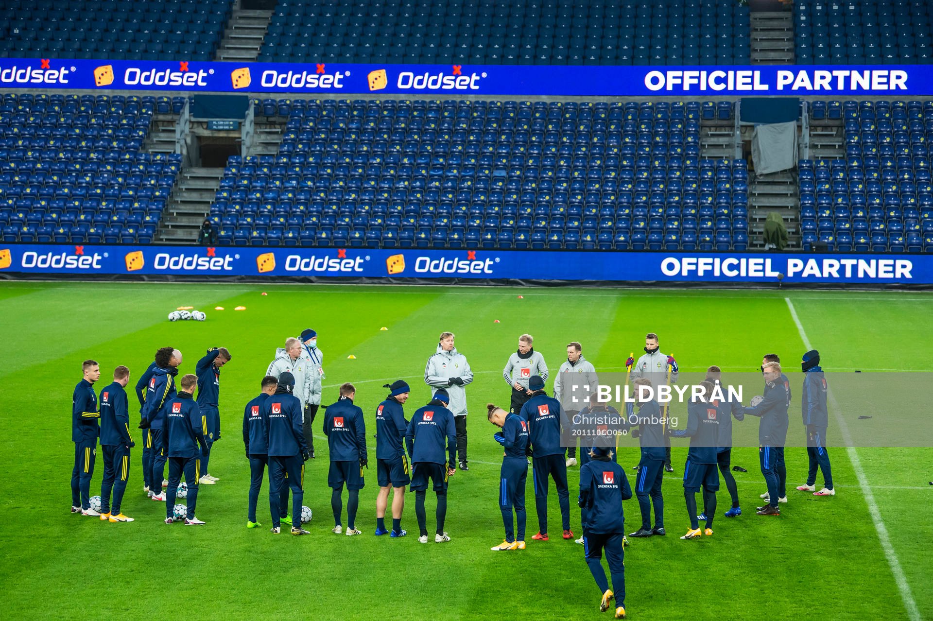The players of the Swedish national football team