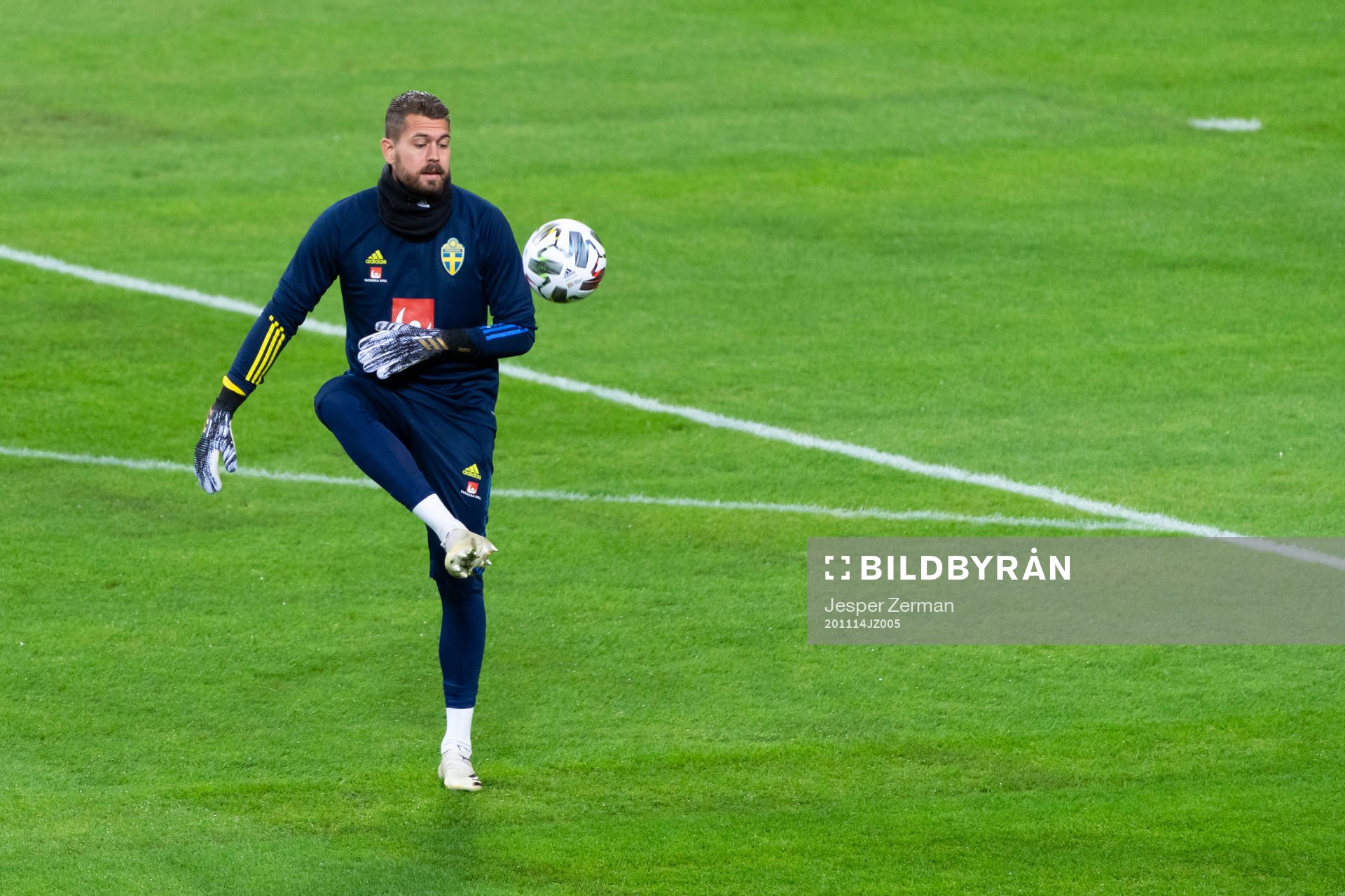 Goalkeeper Kristoffer Nordfeldt of Sweden