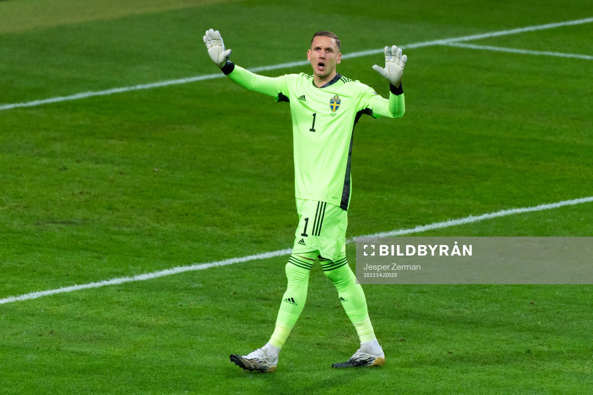Goalkeeper Robin Olsen of Sweden