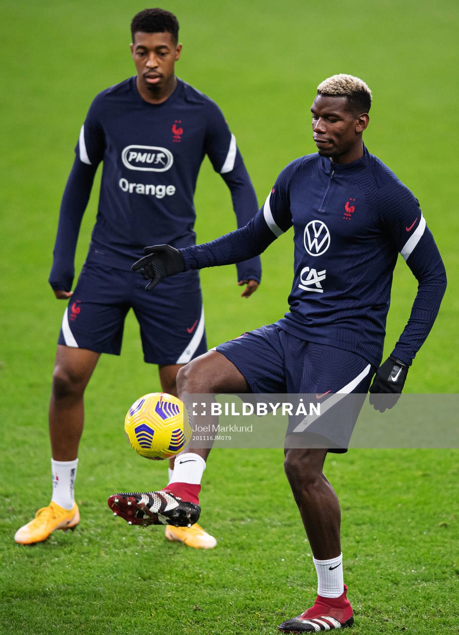 Paul Pogba of the French national football team