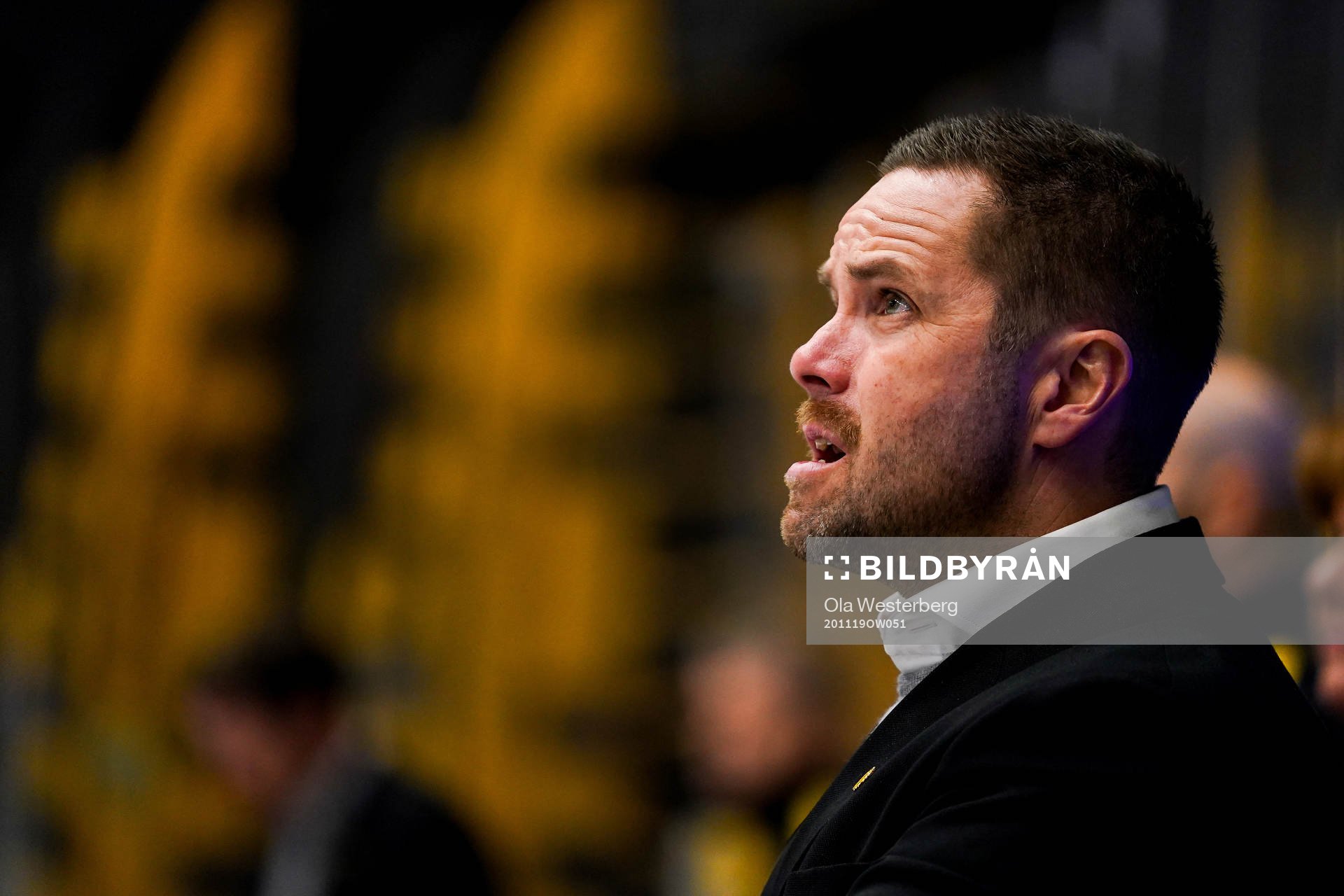 Skellefteås tränare Stefan Hedlund