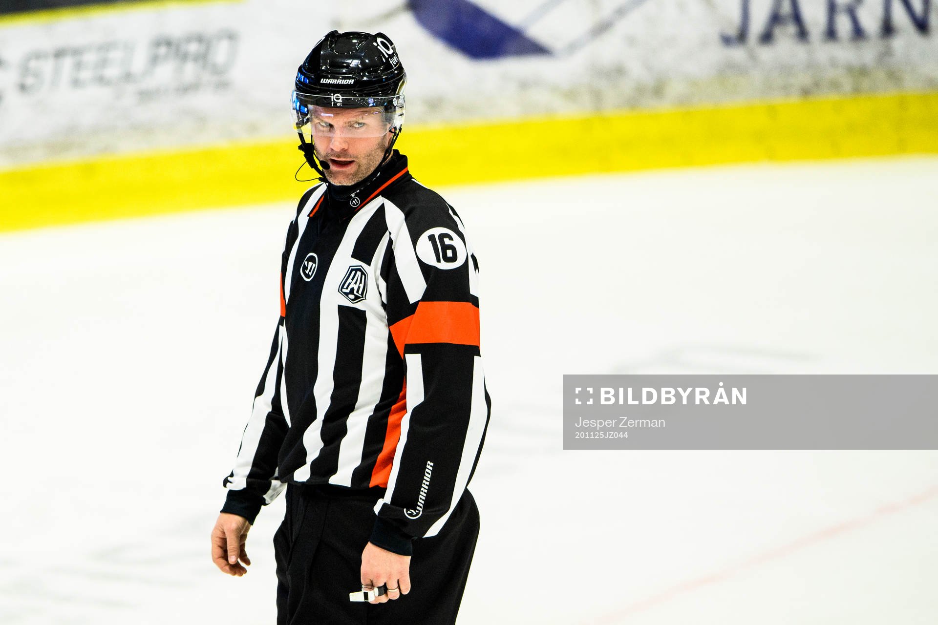 Domare David Bergman