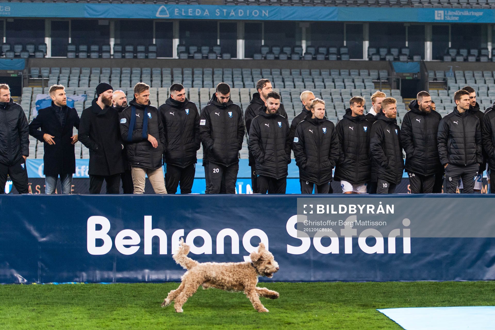 Malmö FFs Behrang Safaris hund Dante när hans husse hyllas
