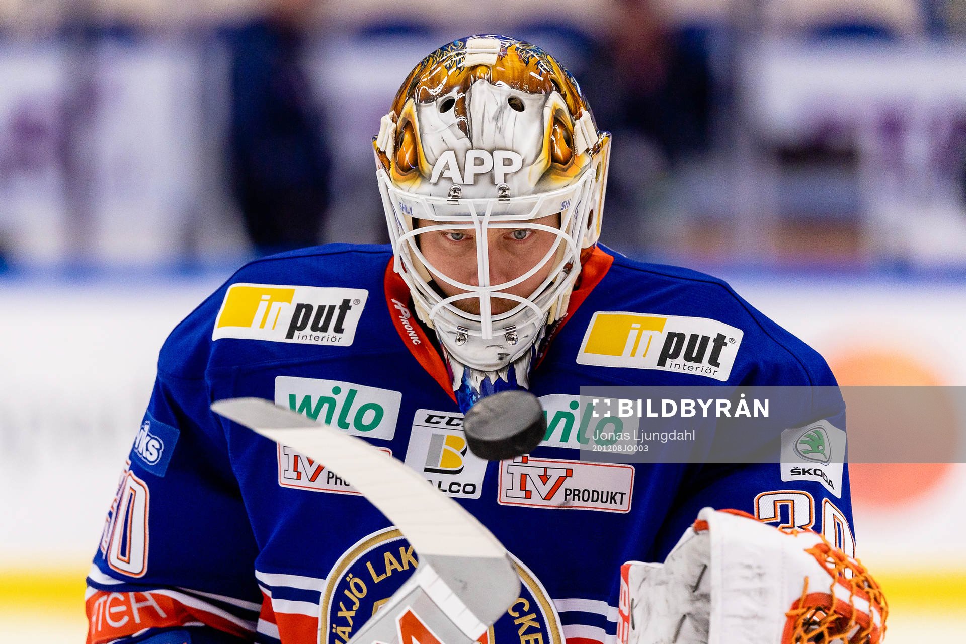 Växjös målvakt Viktor Fasth