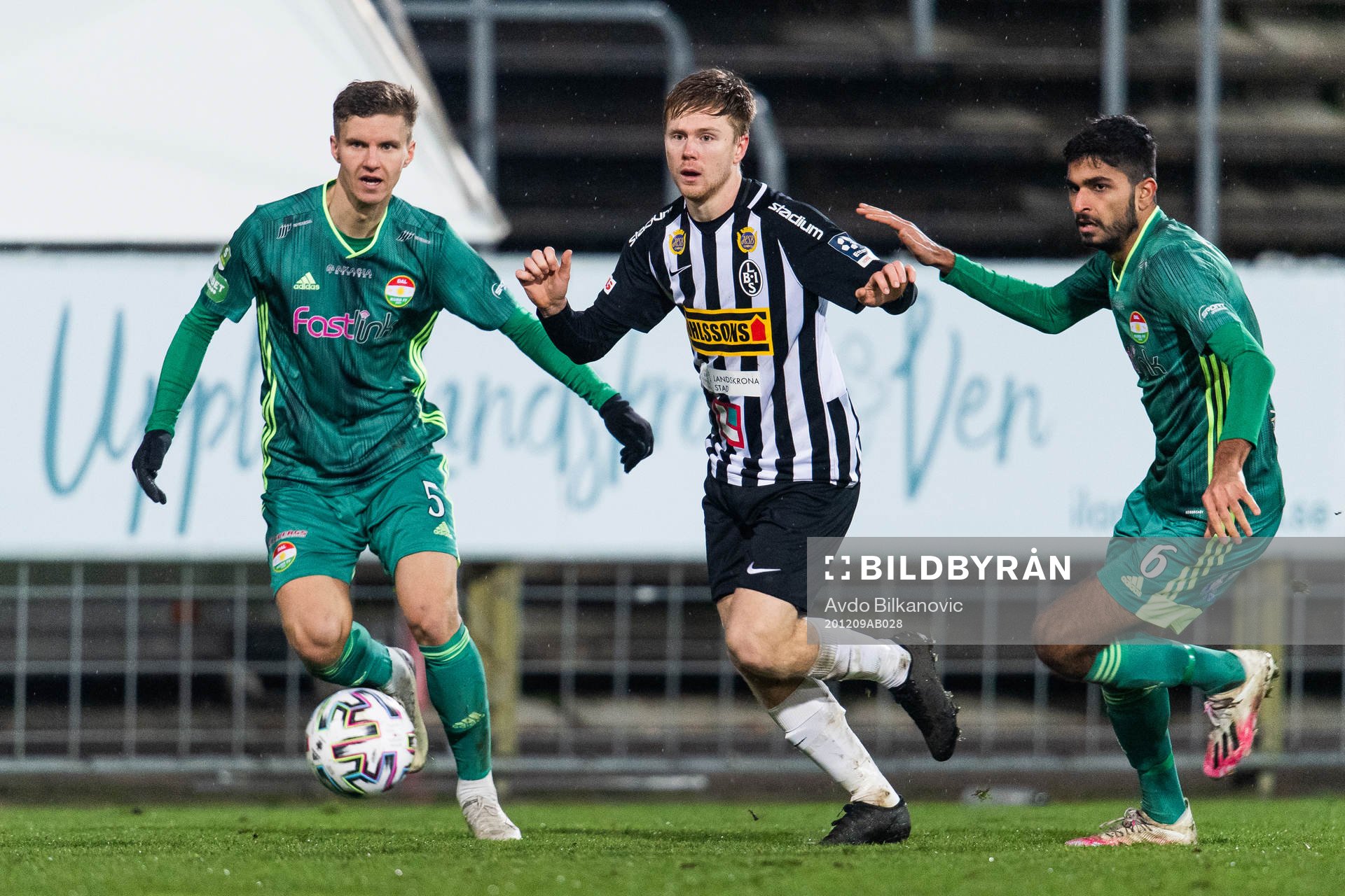 Dalkurds Dalkurds Samuel Leach Holm och Dalkurds Suleman