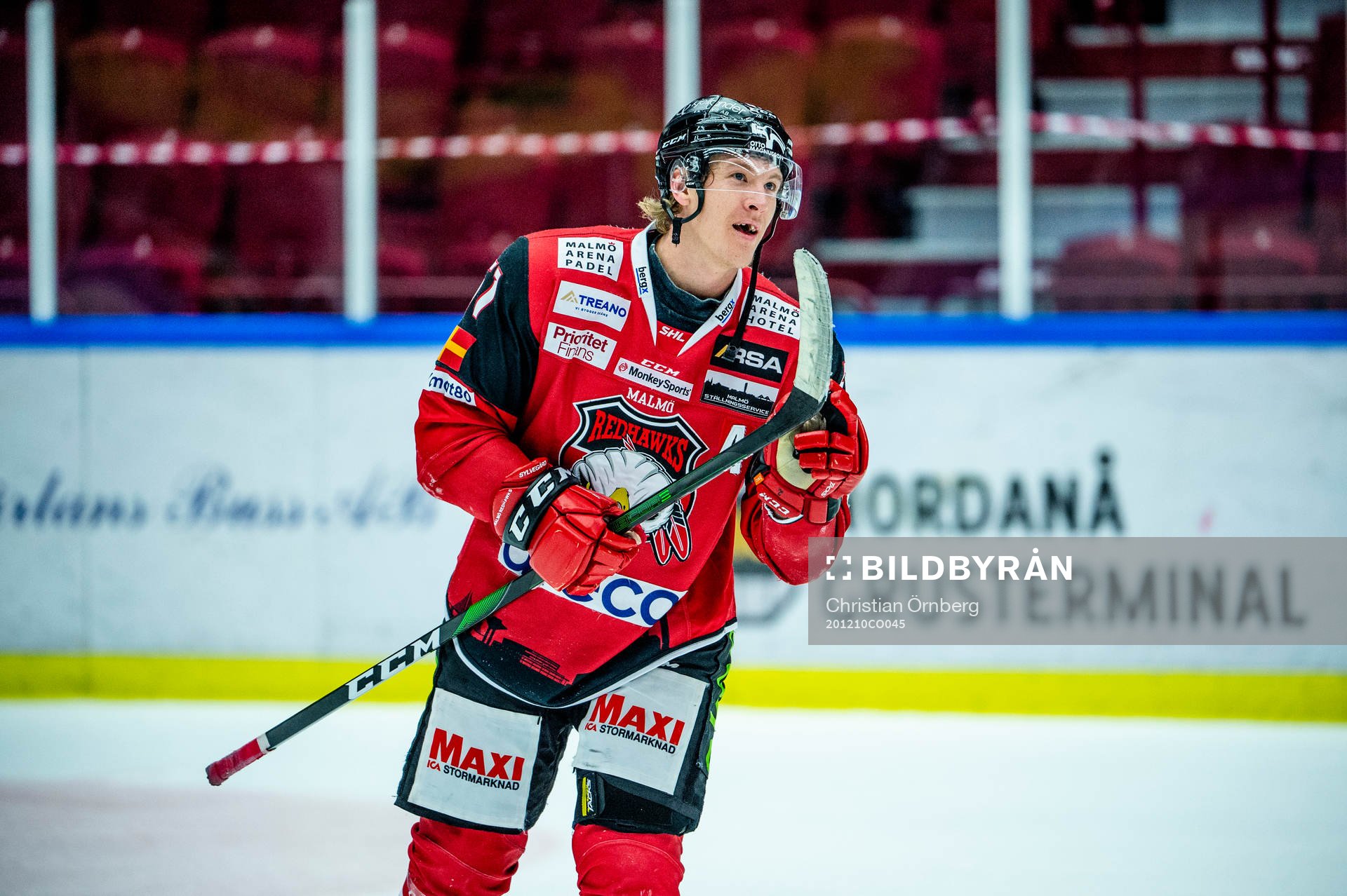 Malmö Redhawks Emil Sylvegård jublar med lagkamraterna
