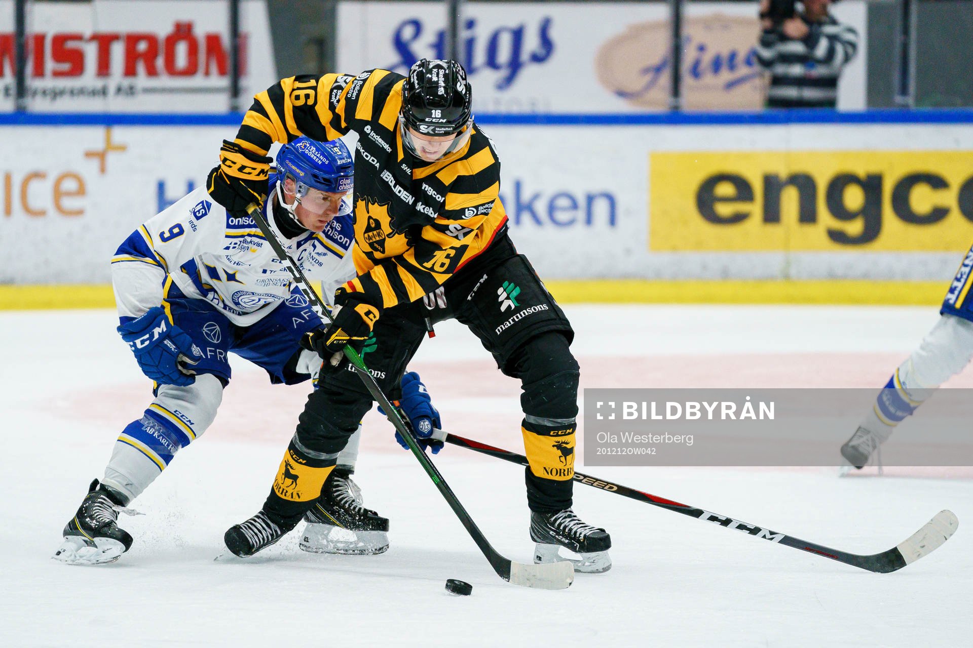 Leksands Patrik Zackrisson och Skellefteås Linus Lindström