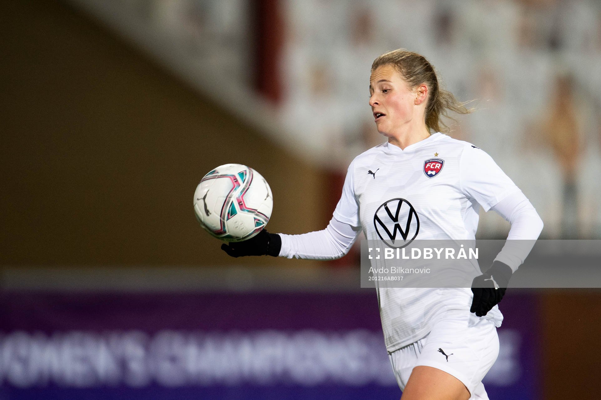 Rosengårds Anna Anvegård