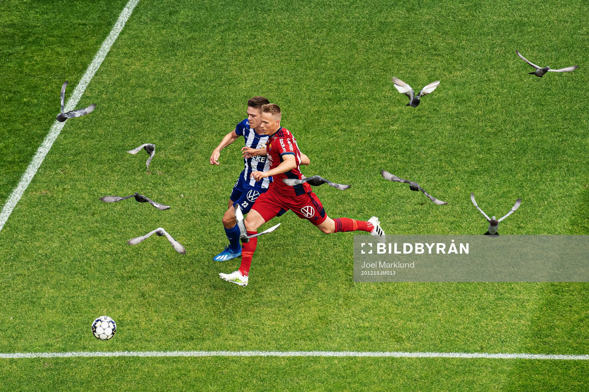 This picture is part of Bildbyrån’s selection of the