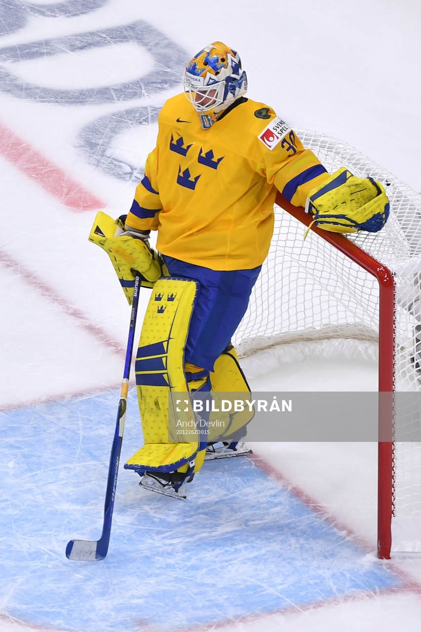 Hugo Alnefelt of Sweden looks down the ice