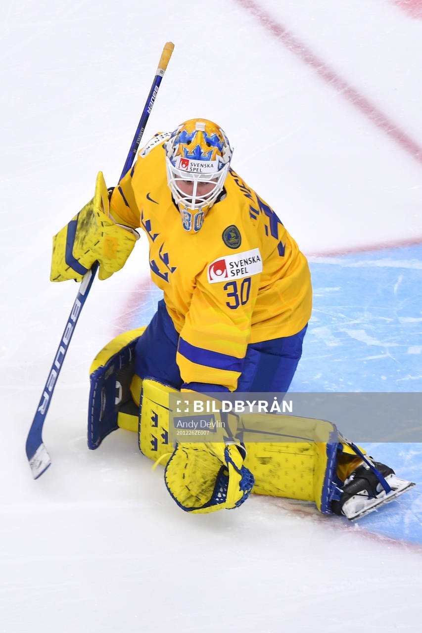 Hugo Alnefelt of Sweden makes a save
