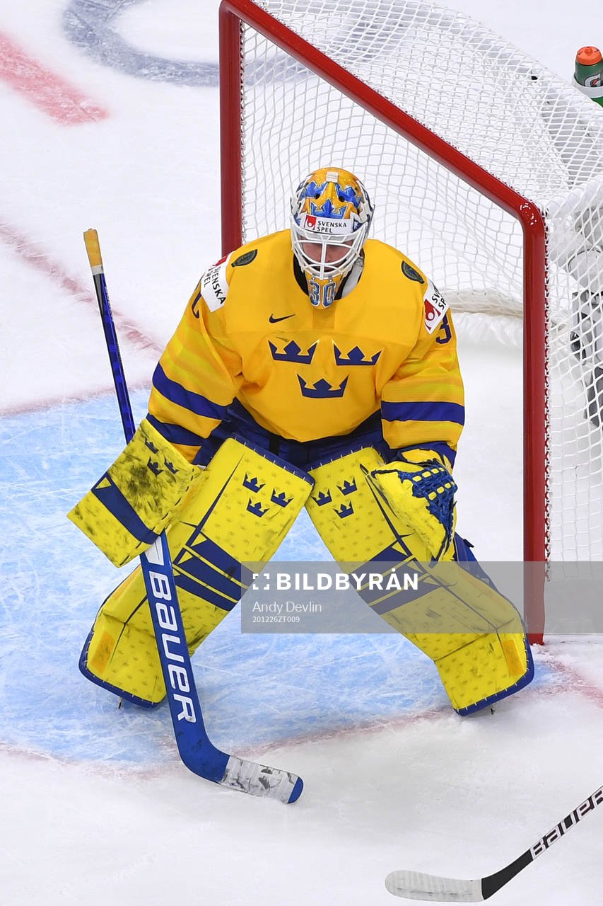 Hugo Alnefelt of Sweden prepares to make a save