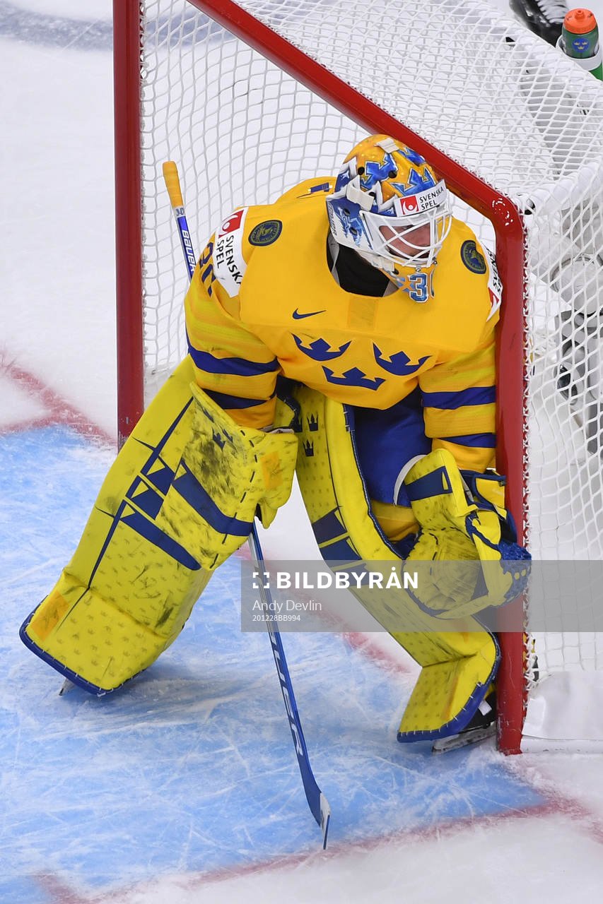 Hugo Alnefelt of Sweden guards the post