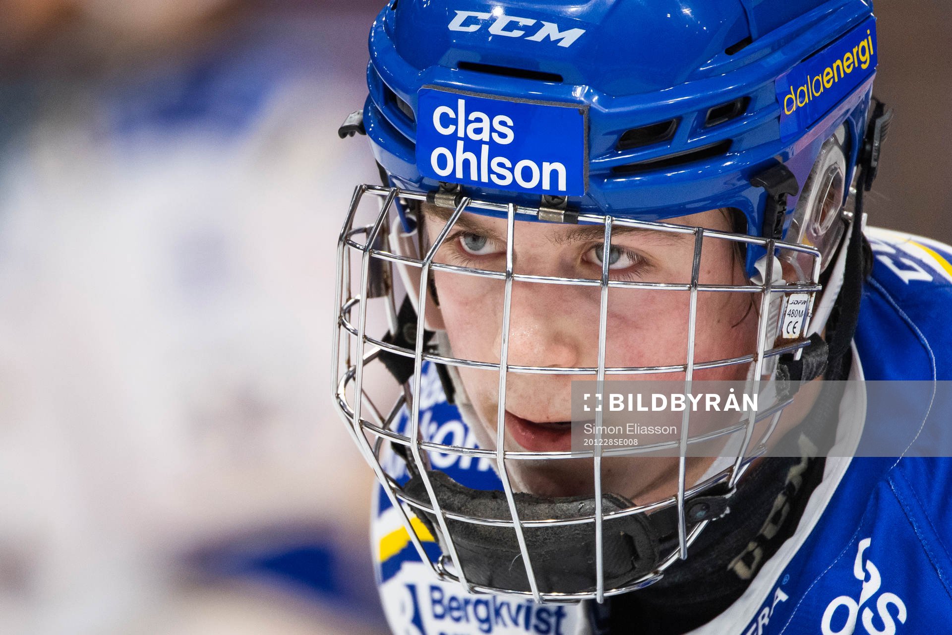Leksands Arvid Eljas