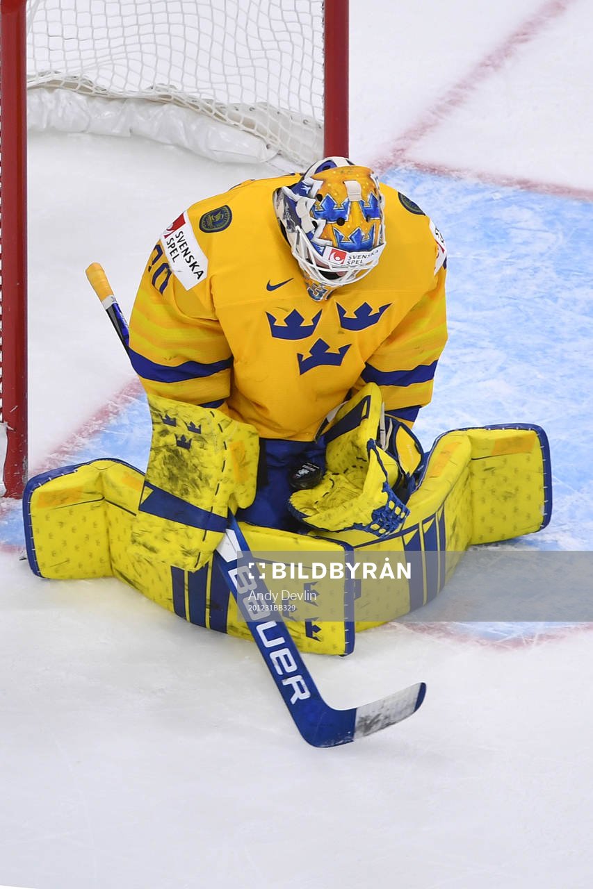 Hugo Alnefelt of Sweden makes a save