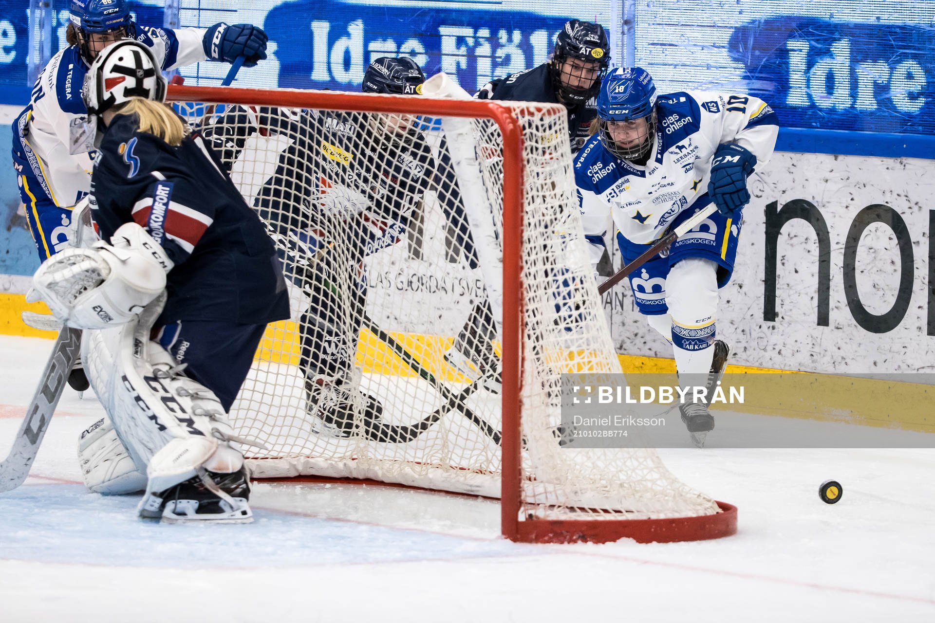 Leksands Shea Demale