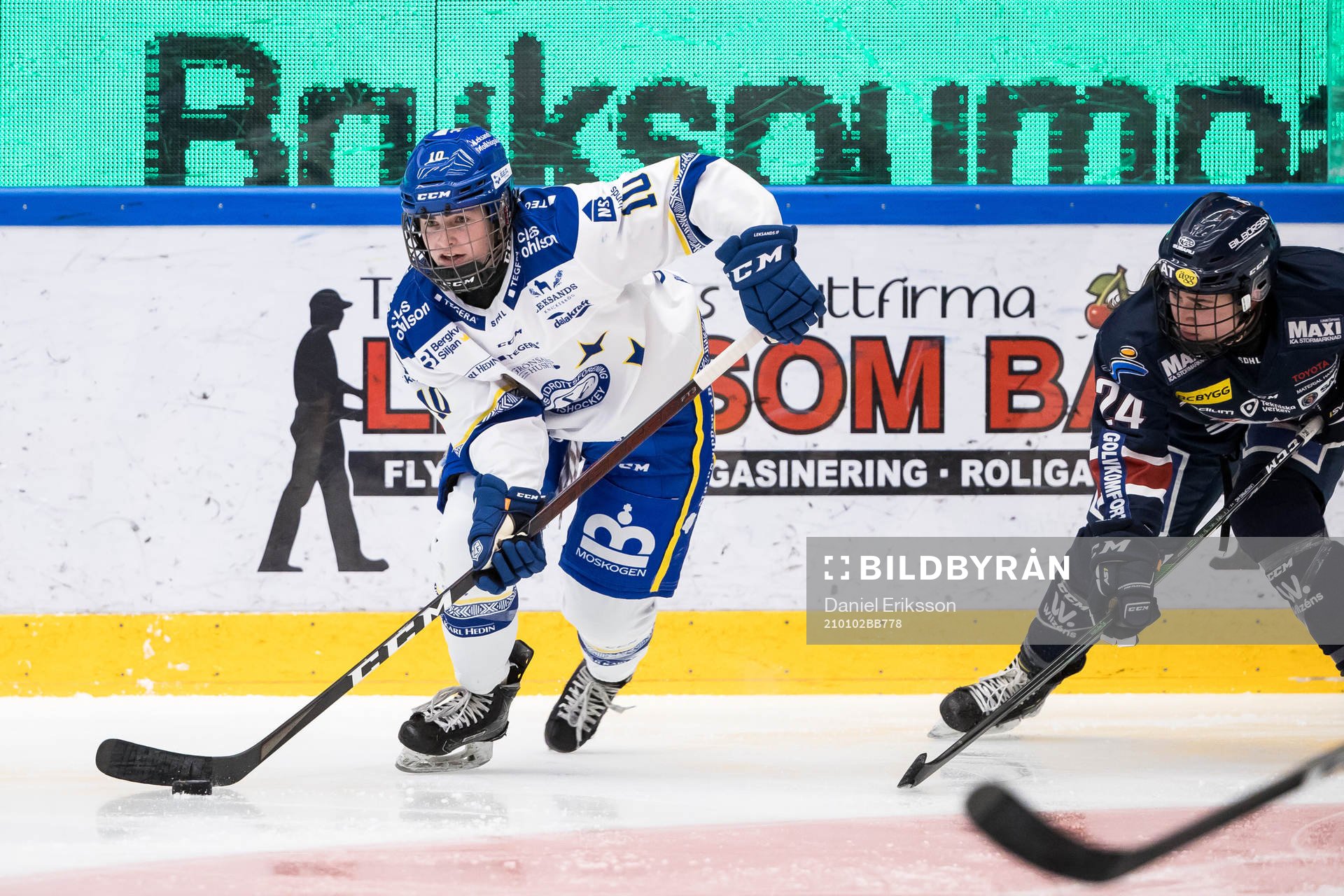Leksands Shea Demale