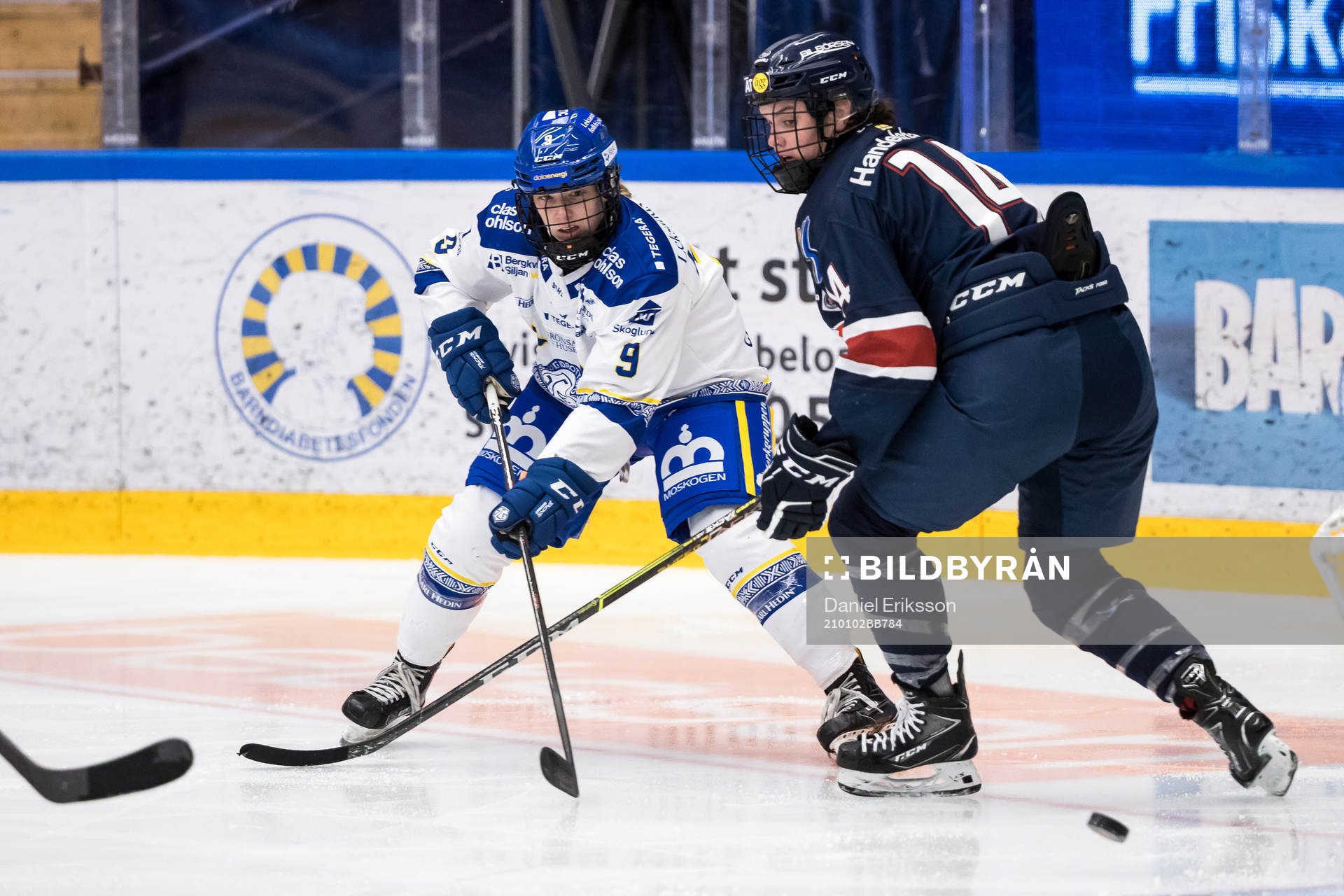 Leksands Kathryn Kennedy och Linköpings Gracen Hirschy
